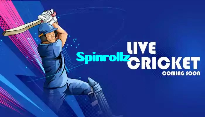 available types of Spinrollz bet including pre-match live express and system bets